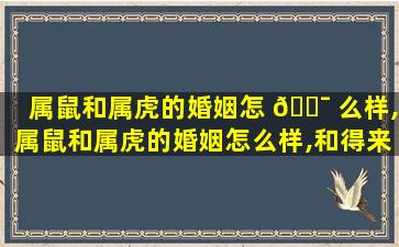 属鼠和属虎的婚姻怎 🐯 么样,属鼠和属虎的婚姻怎么样,和得来吗